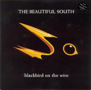 Album cover art for "Blackbird on the Wire" by The Beautiful South