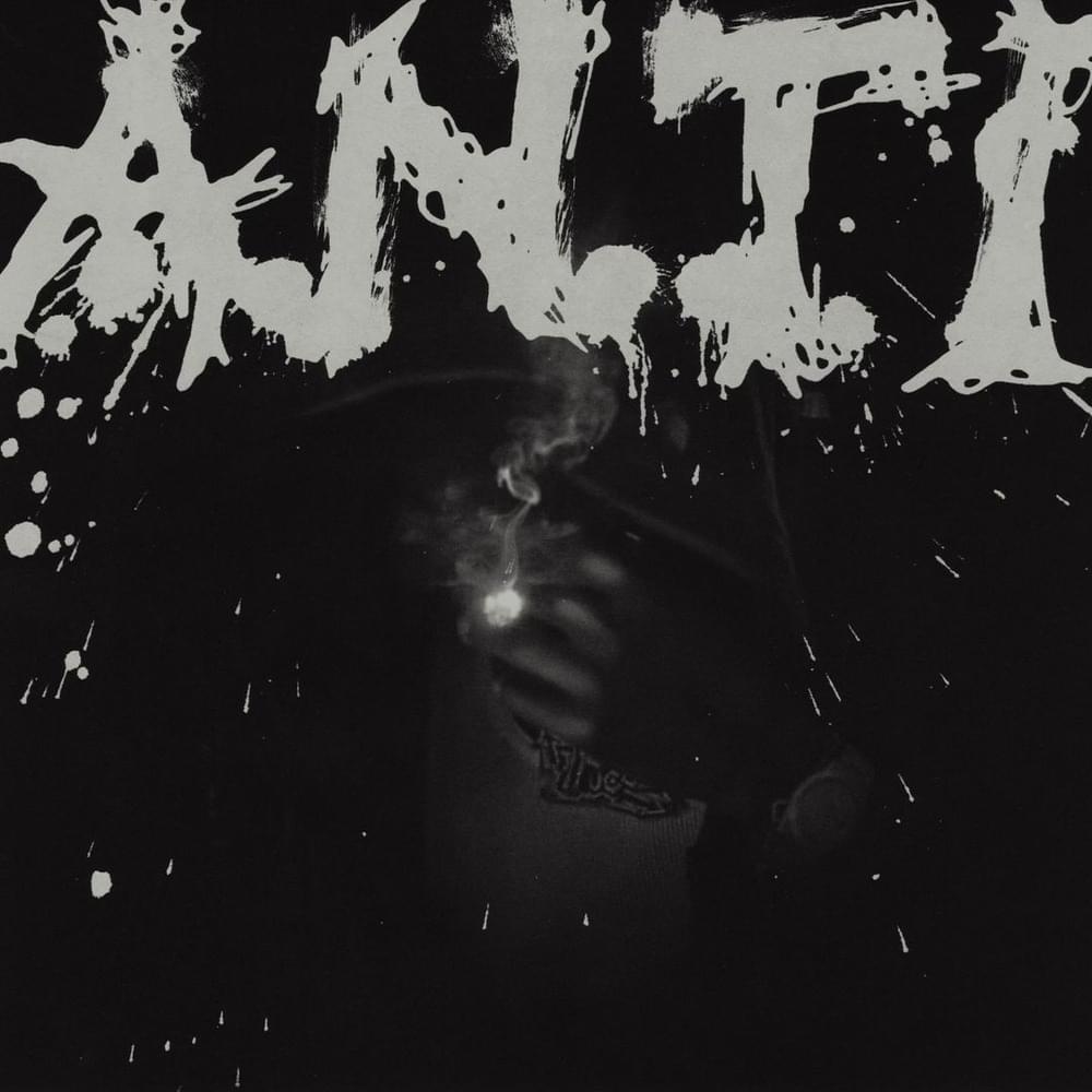 Cover image for Anti