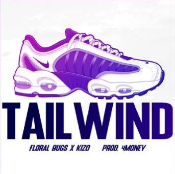 Album cover art for "Tailwind" by Floral Bugs & Kizo