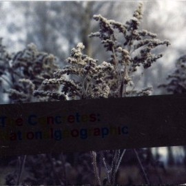 Under Your Leaves by The Concretes