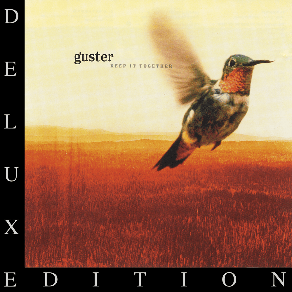 Cover image for Keep It Together (10 Year Anniversary Edition)