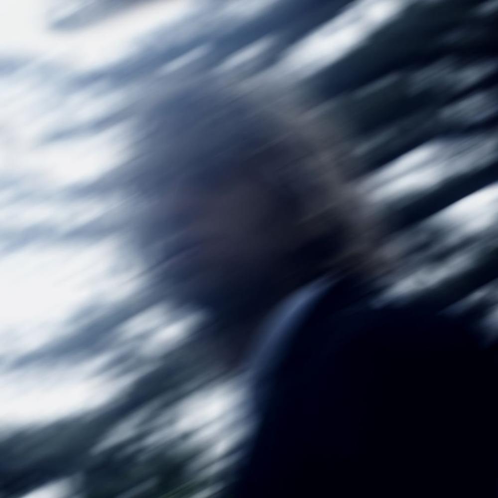 Cover image for Full Speed Nowhere