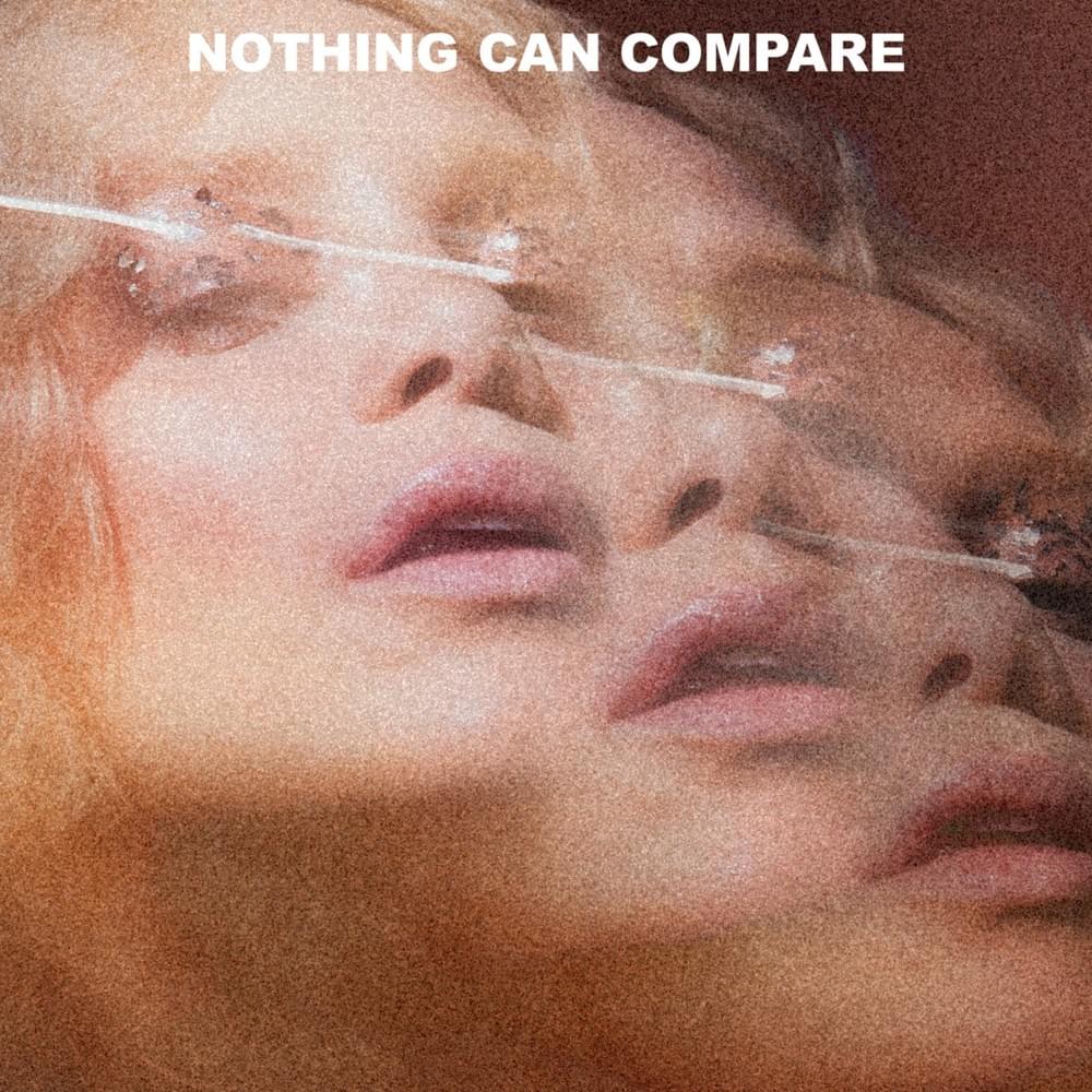 Cover image for Nothing Can Compare
