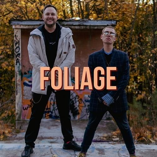 Album cover art for "Foliage" by Ten Typ Mes & Koza