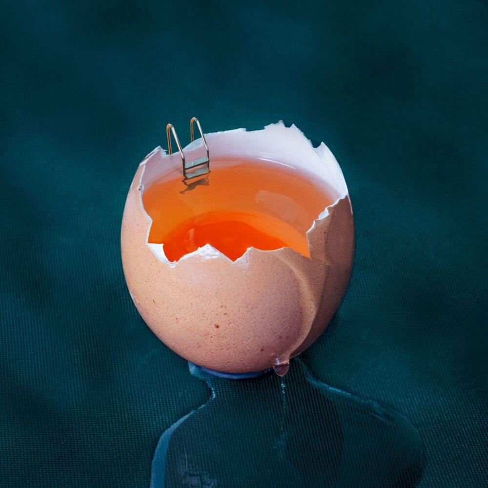 Album cover art for "Zu sensibel" by Maeckes