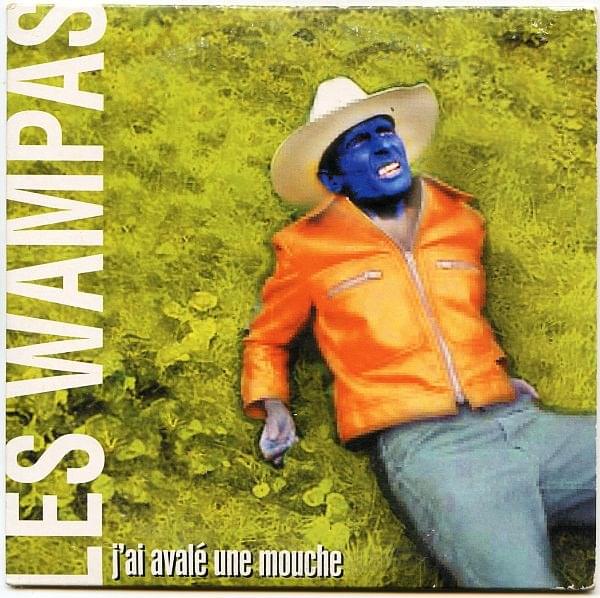 Album cover art for "J’ai Avalé Une Mouche" by Les Wampas