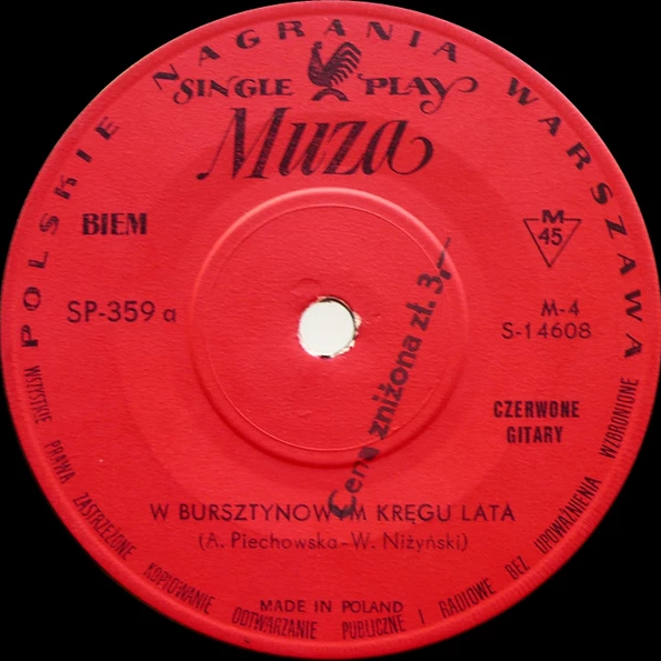 Cover image for W Bursztynowym Kręgu Lata