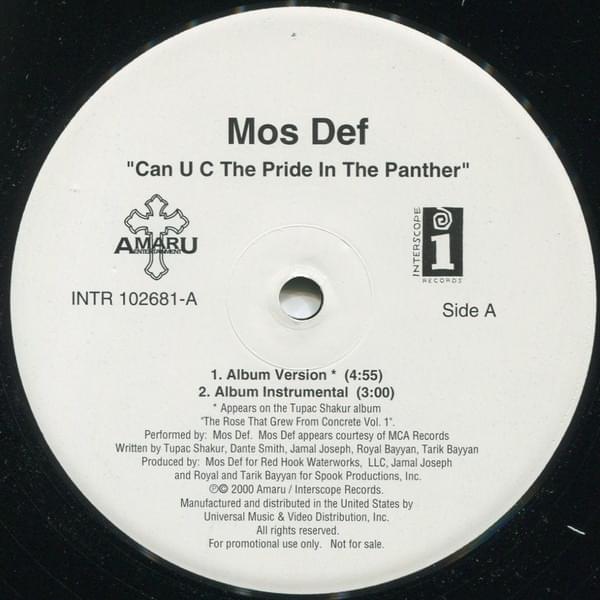 Album cover art for "Can U C The Pride In The Panther? - Album Version (Female) (Instrumental)" by Yasiin Bey