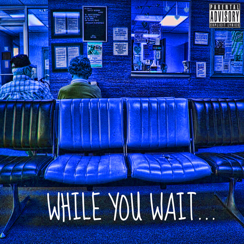 Cover image for While You Wait