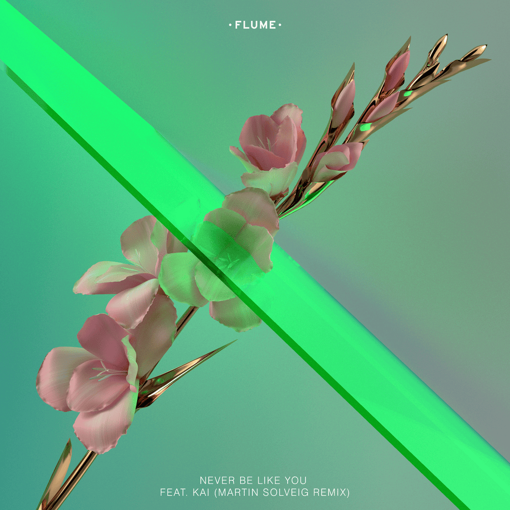 Album cover art for "Never Be Like You (Martin Solveig Remix)" by Flume & kai