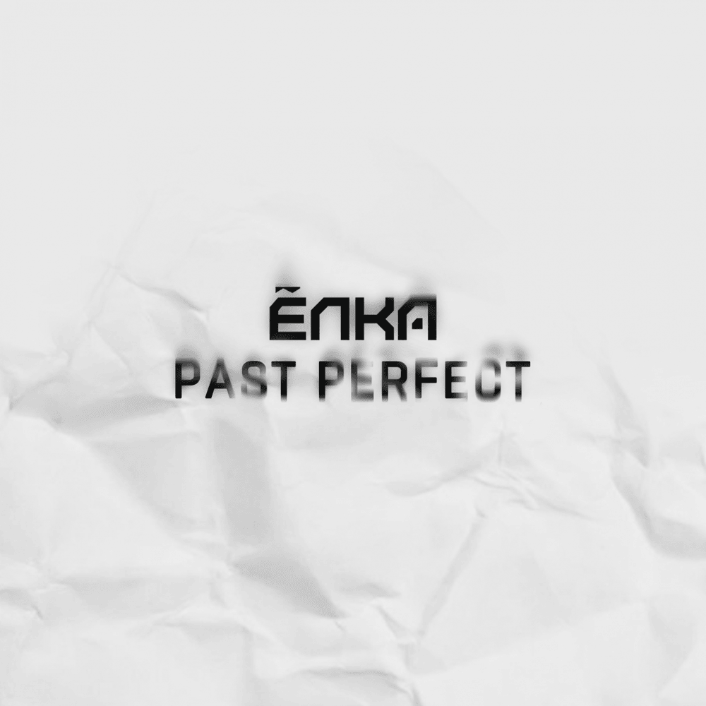 Cover image for Past Perfect