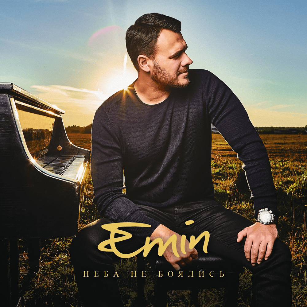 Cover image for Неба не боялись (Not Afraid Of The Sky)