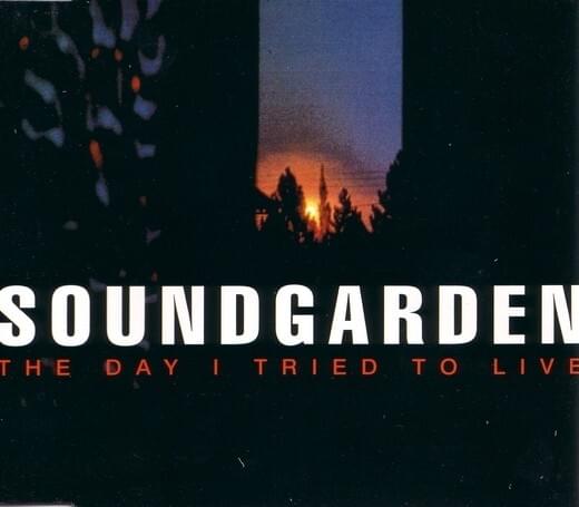 Album cover art for "Like Suicide (Acoustic Version)" by Soundgarden