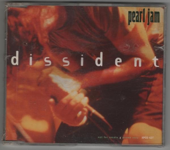 Album cover art for "Dissident" by Pearl Jam