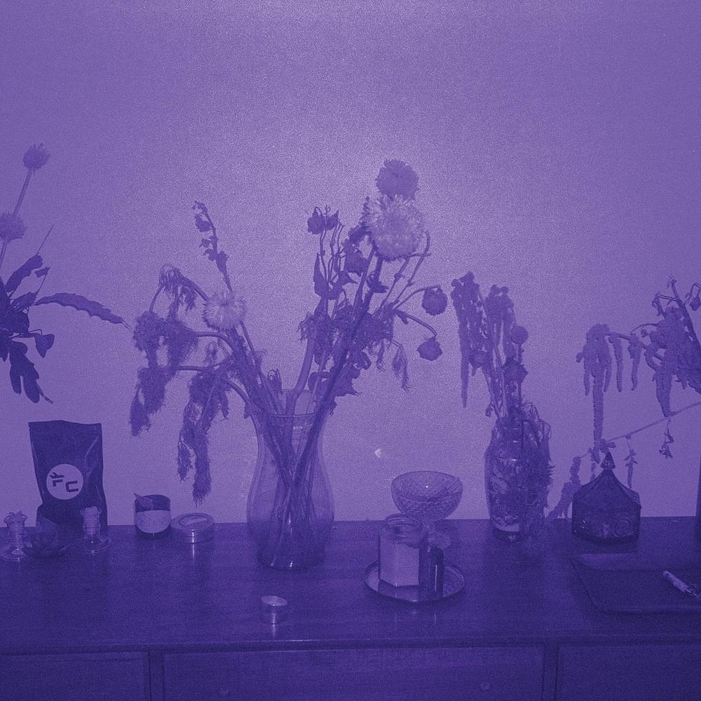 Album cover art for "Gardenias ’87" by José Madero