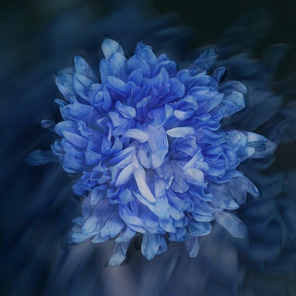 Album cover art for "Нелюбимая (Unloved) (Strings Orchestra Studio Live)" by Jane Air