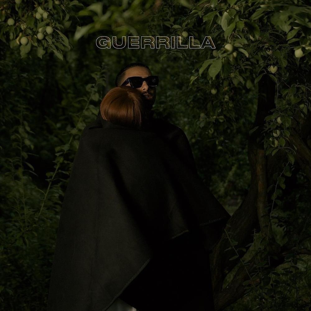 Cover image for Guerrilla