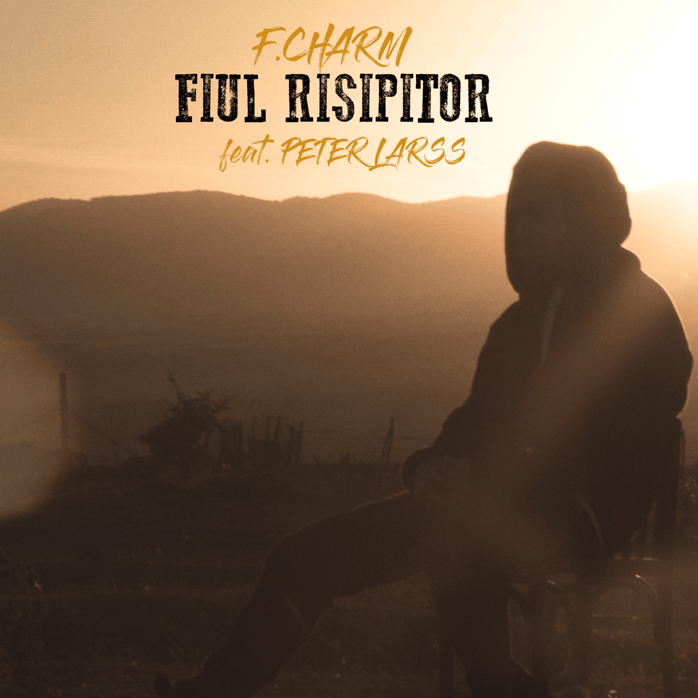 Album cover art for "Fiul risipitor" by F.Charm