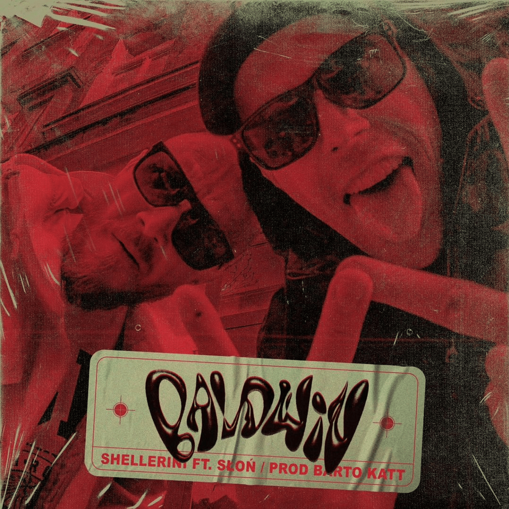 Album cover art for "Baldwin" by Shellerini & Słoń (POL)