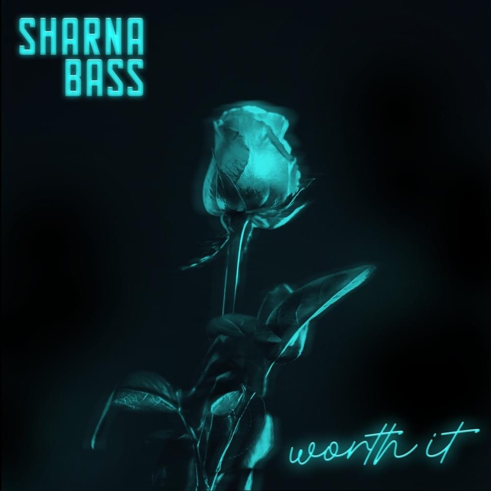 Worth It by Sharna Bass