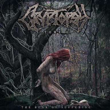 Cover image for The Book of Suffering - Tome I