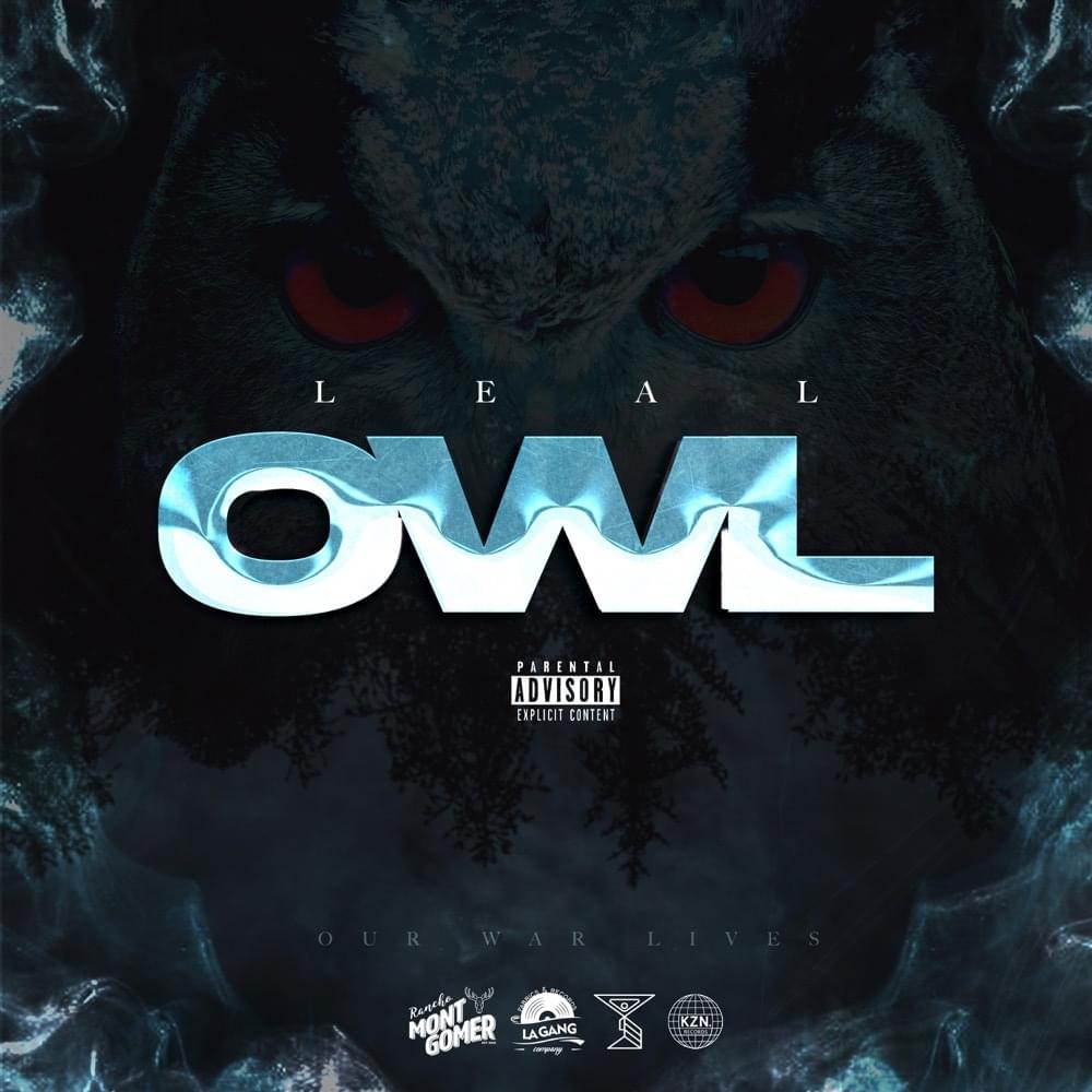 Cover image for Owl