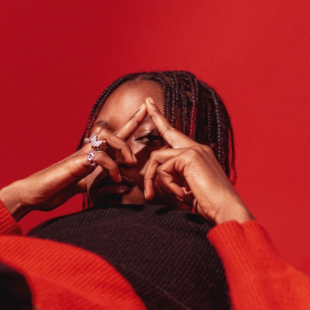 Cover image for No Panic No Pain