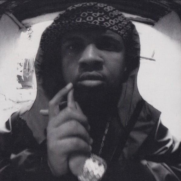 Cover image for Pudgee tha Phat Bastard