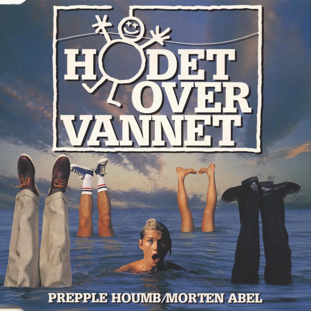 Cover image for Hodet over vannet