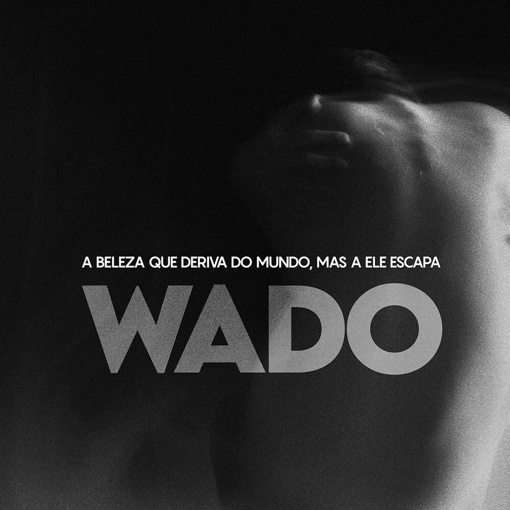 Cover image for A Beleza que Deriva do Mundo, Mas a Ele Escapa