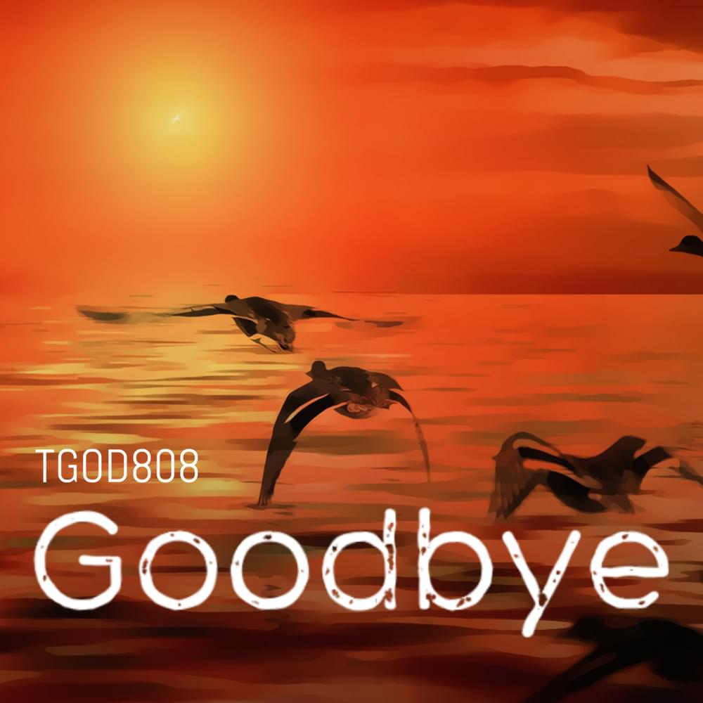 Album cover art for "Goodbye" by TGOD808