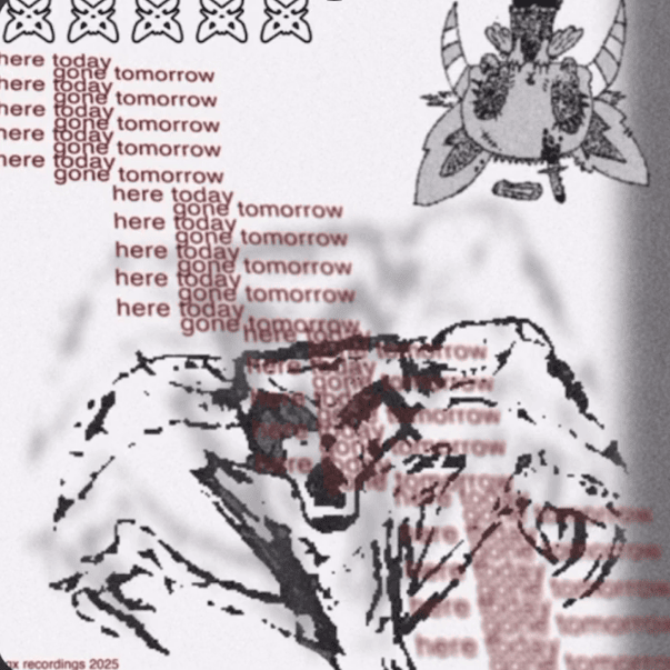 Cover image for here today, gone tomorrow