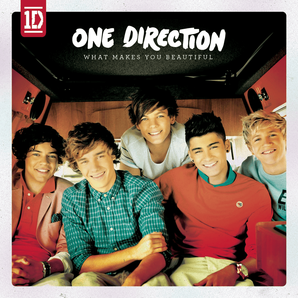 Cover image for What Makes You Beautiful
