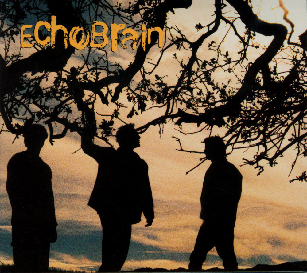 Album cover art for "Spoonfed" by Echobrain