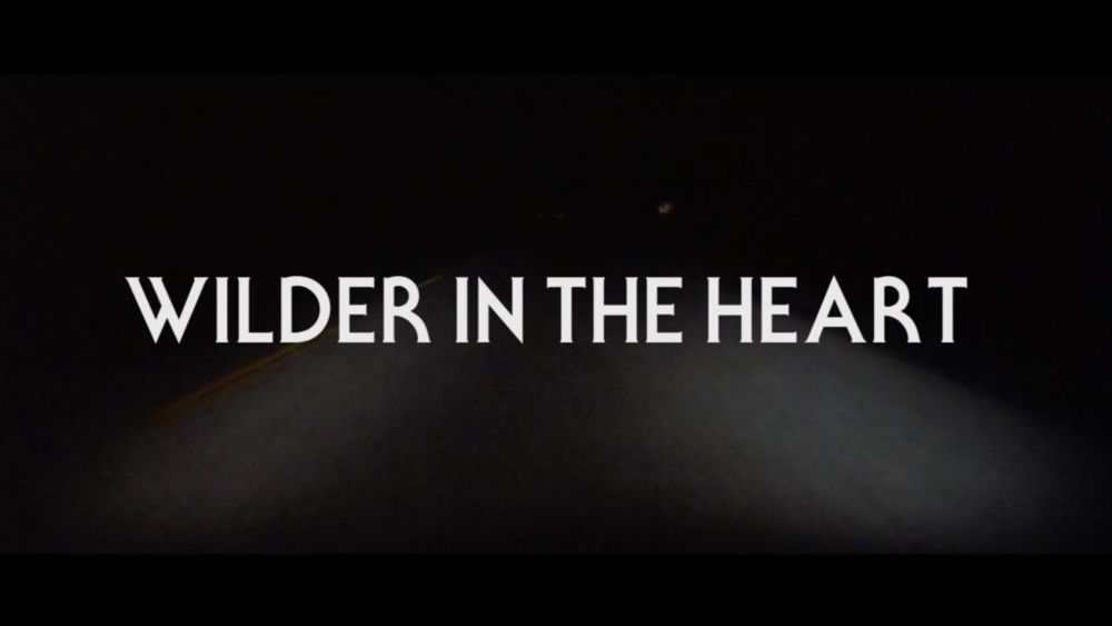 Album cover art for "Wilder in the Heart" by Butch Walker
