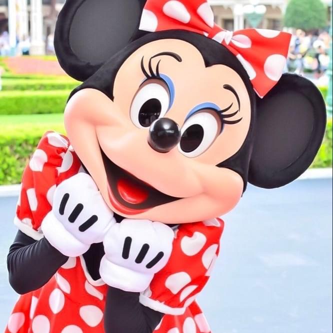 Photo of Minnie Mouse