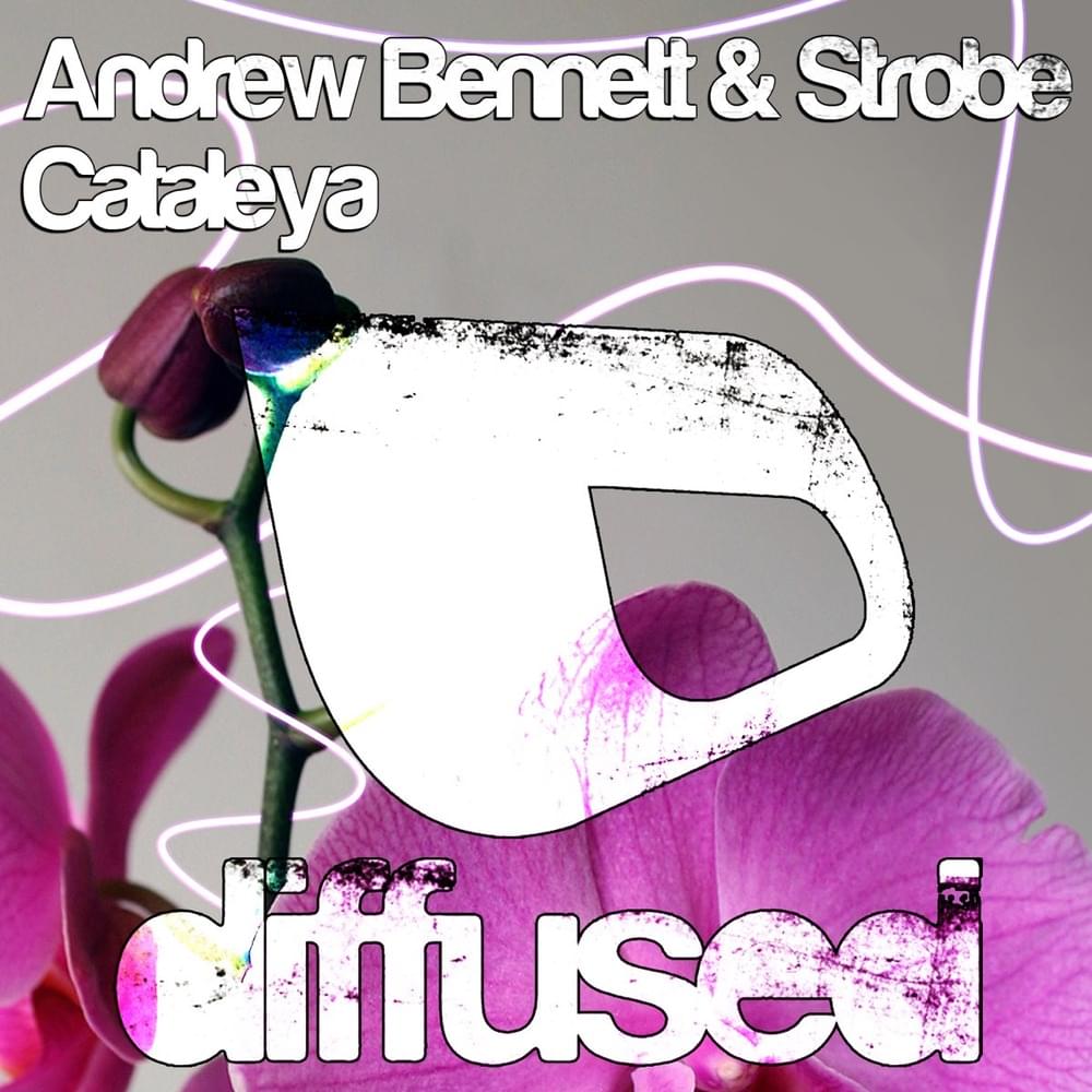 Album cover art for "Cataleya" by Toolroom Records