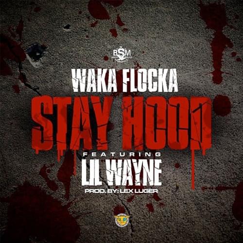 Album cover art for "Stay Hood" by Waka Flocka Flame & Lil Wayne
