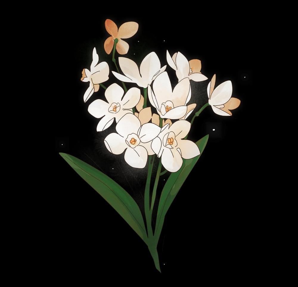 Album cover art for "Daffodils" by Jason M. Yu