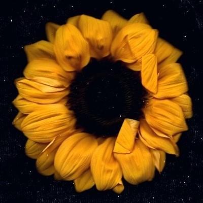 Photo of ​leastfavorite!