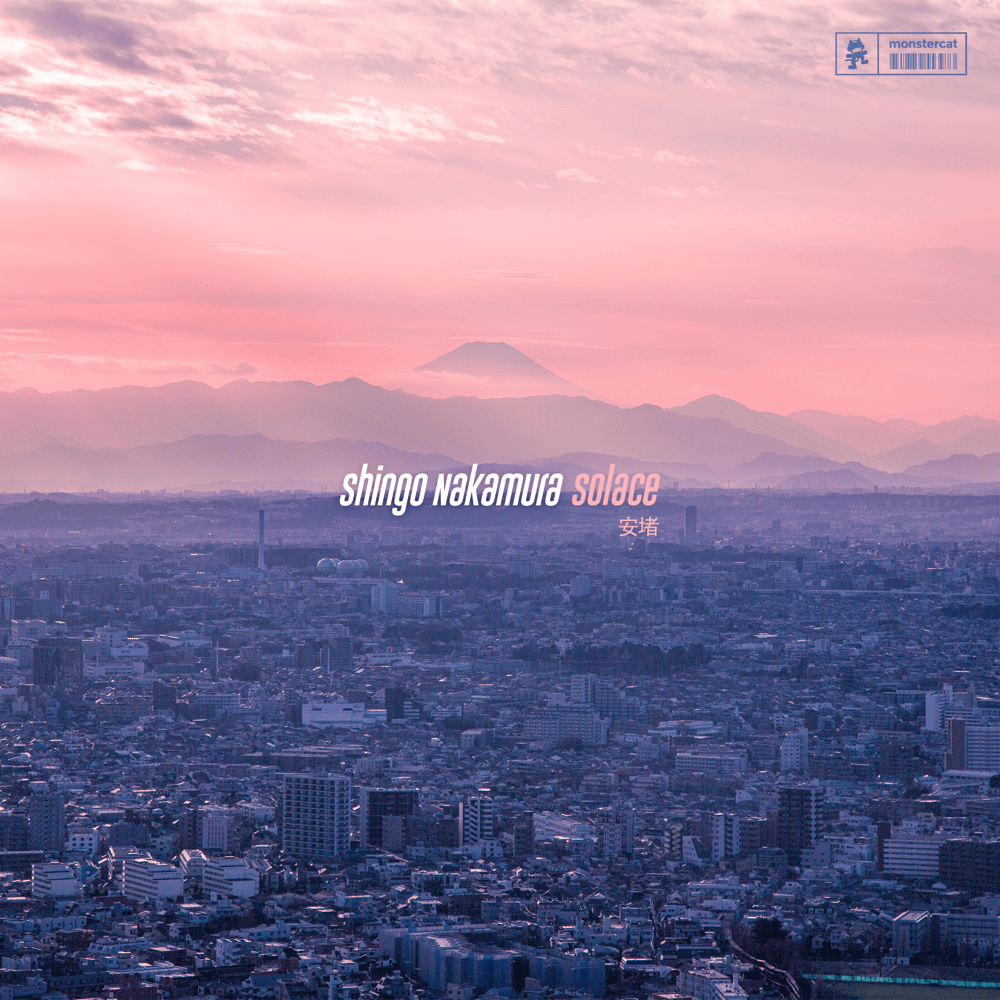 Cover image for Solace