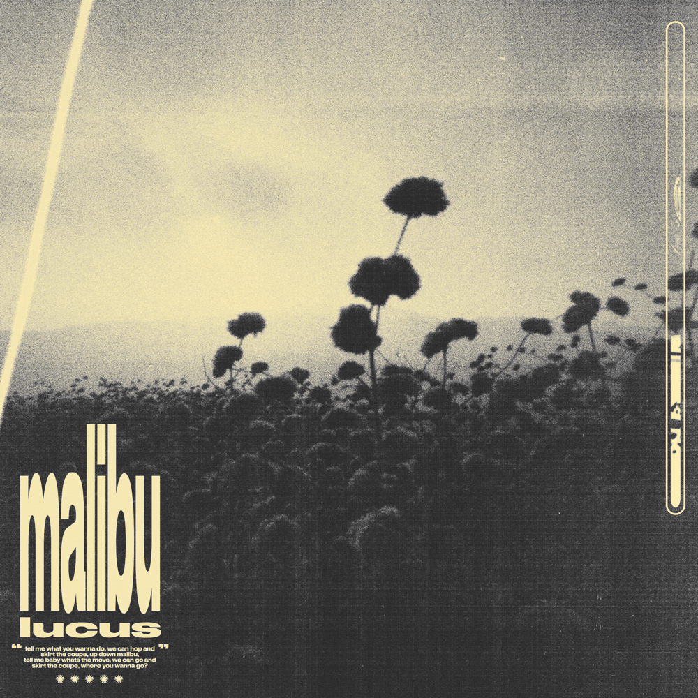 Album cover art for "Malibu" by Lucus