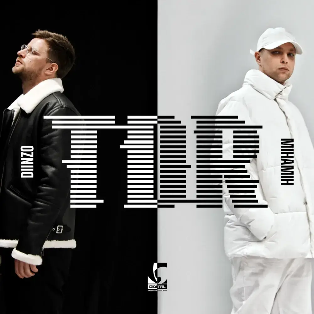 Album cover art for "TDR" by MihaMih