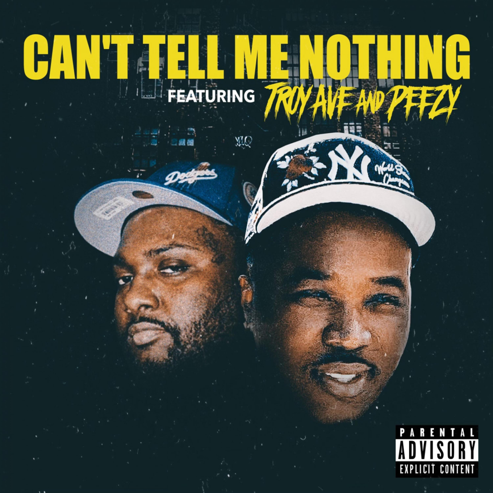 Album cover art for "Cant Tell Me Nothing" by Troy Ave