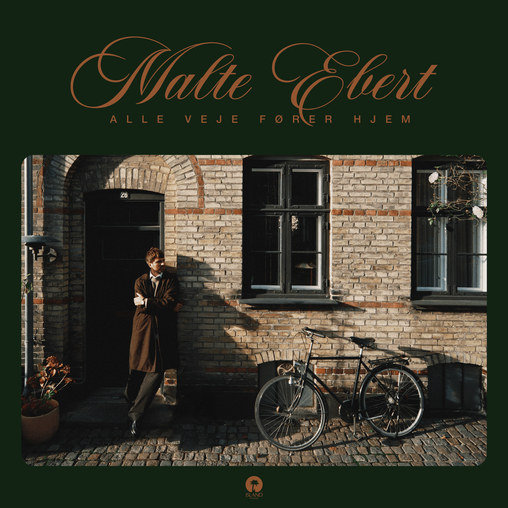 Cover image for Alle veje fører hjem