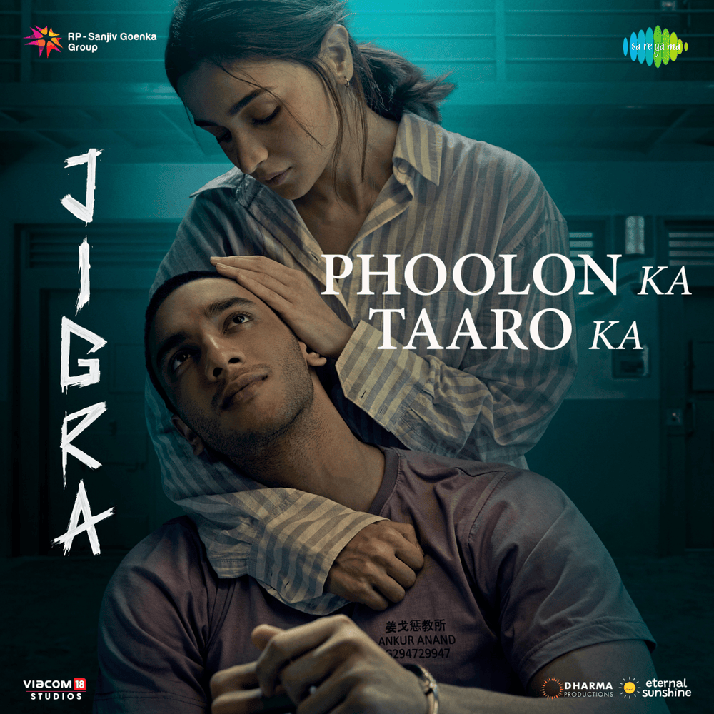 Album cover art for "Phoolon Ka Taaro Ka" by Vedang Raina
