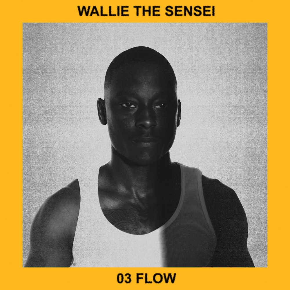 Album cover art for "03 Flow" by Wallie the Sensei