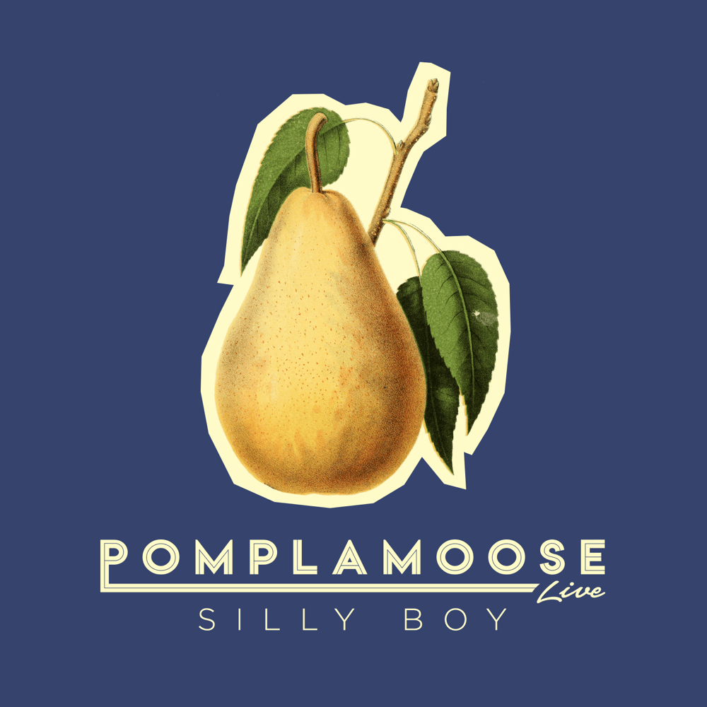 Album cover art for "Silly Boy" by Pomplamoose