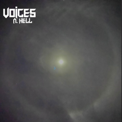 Cover image for Voices