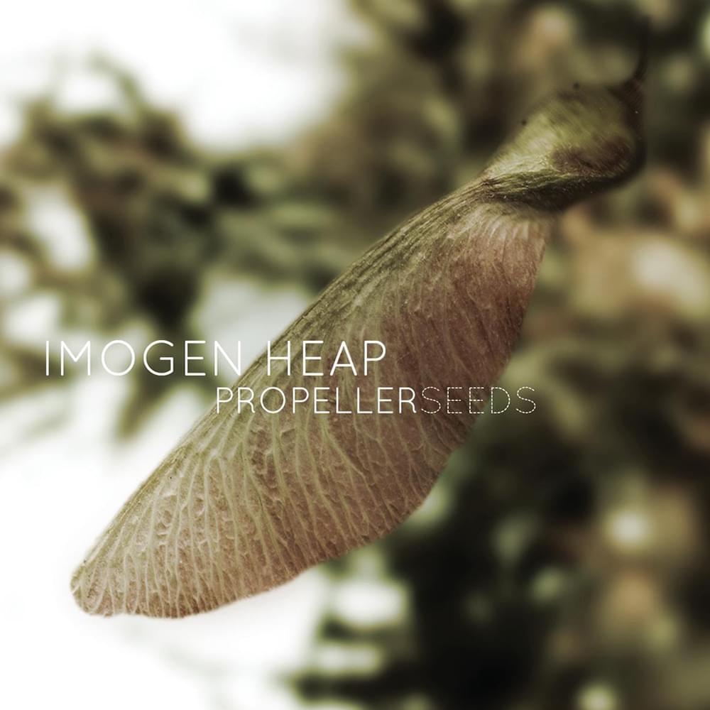 Album cover art for "Propeller Seeds" by Imogen Heap